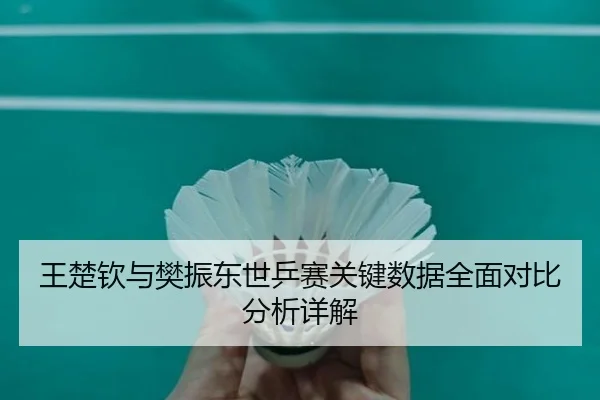 王楚钦与樊振东世乒赛关键数据全面对比分析详解 | NG SPORTS